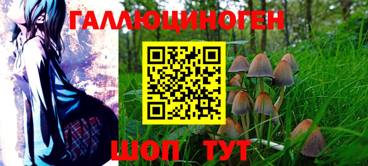 Галлюциногенные грибы Cubensis  Псилоцибиновые грибы GOLDEN TEACHER  Владимир  Вход с VPN 